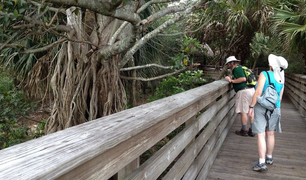 Green Cay Wetlands – Florida Hikes