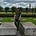 Cas van Turnhout's avatar