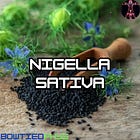 Supplement Spotlight #4: Nigella Sativa