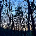 🪷 There is always change