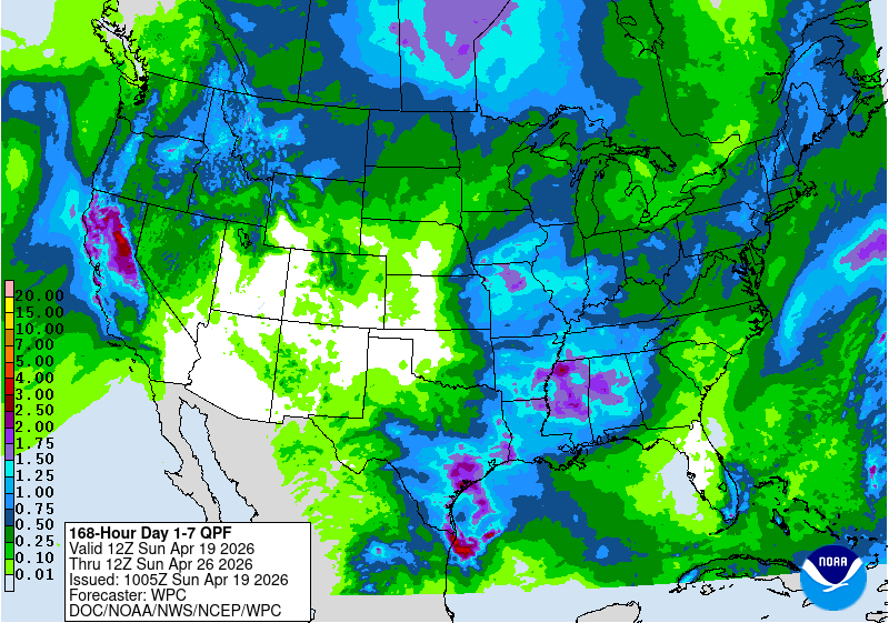 Day 11 image not available