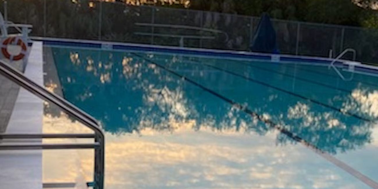 Big Dreams Through Small Steps, Bayshore Gardens Partner to Expand Swim Lesson Access for Local Children