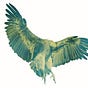 Vultura Atomica's avatar