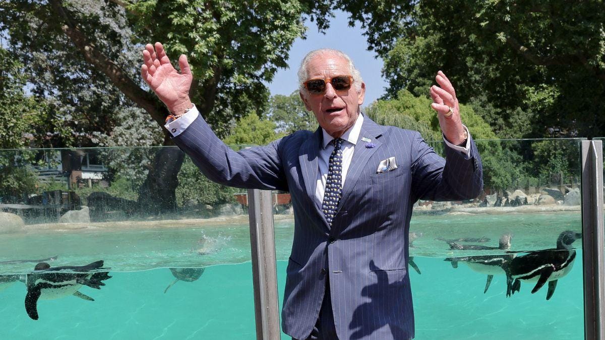 Photo of King Charles