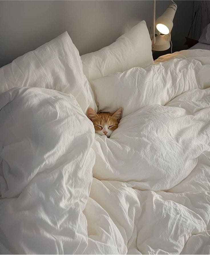 This may contain: an orange and white cat sleeping on top of a bed covered in white comforters