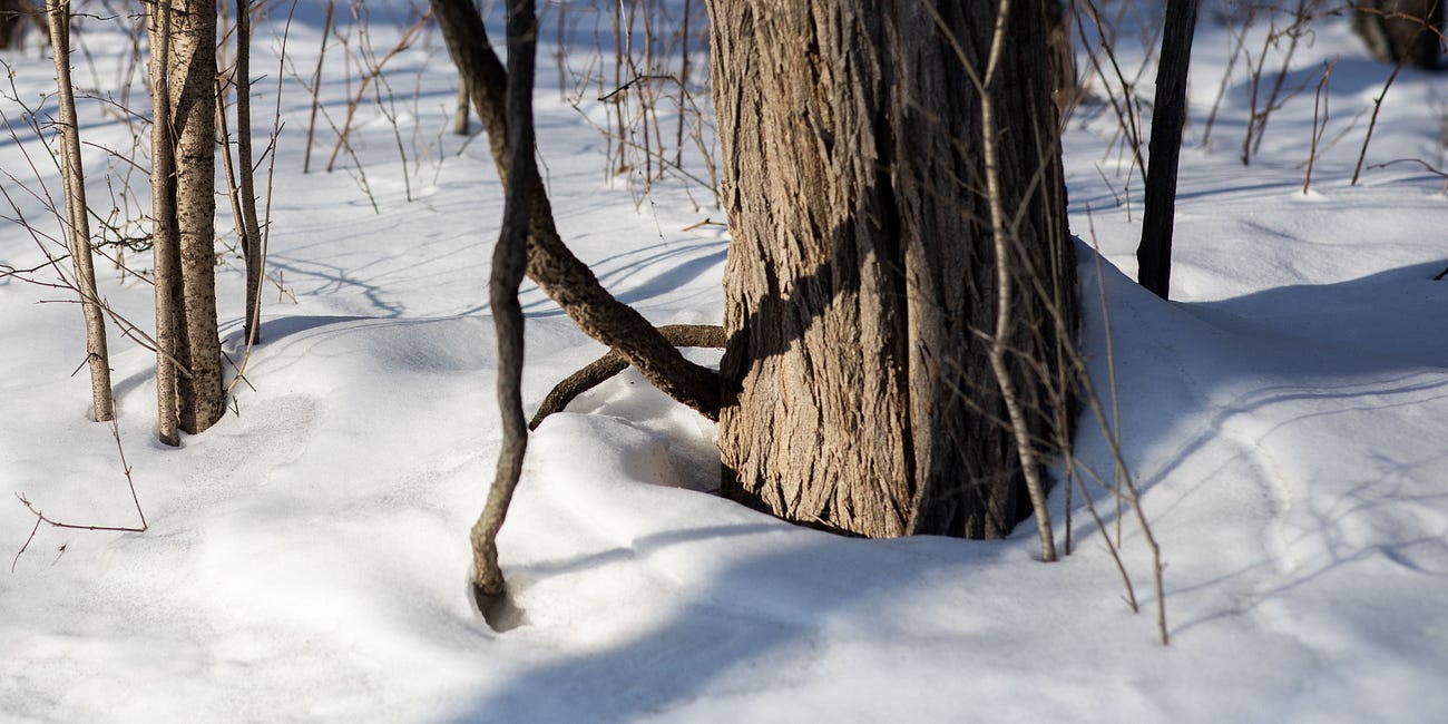Planet Waves - March Readings & Commentary by Eric Francis