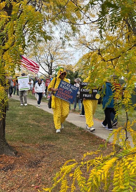 Various protesters and dogs with signs at a NO KINGS rally