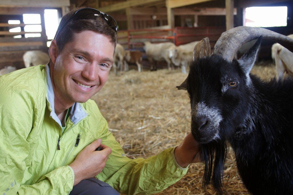 Goats are just so dang fun. Goats are just so dang fun.