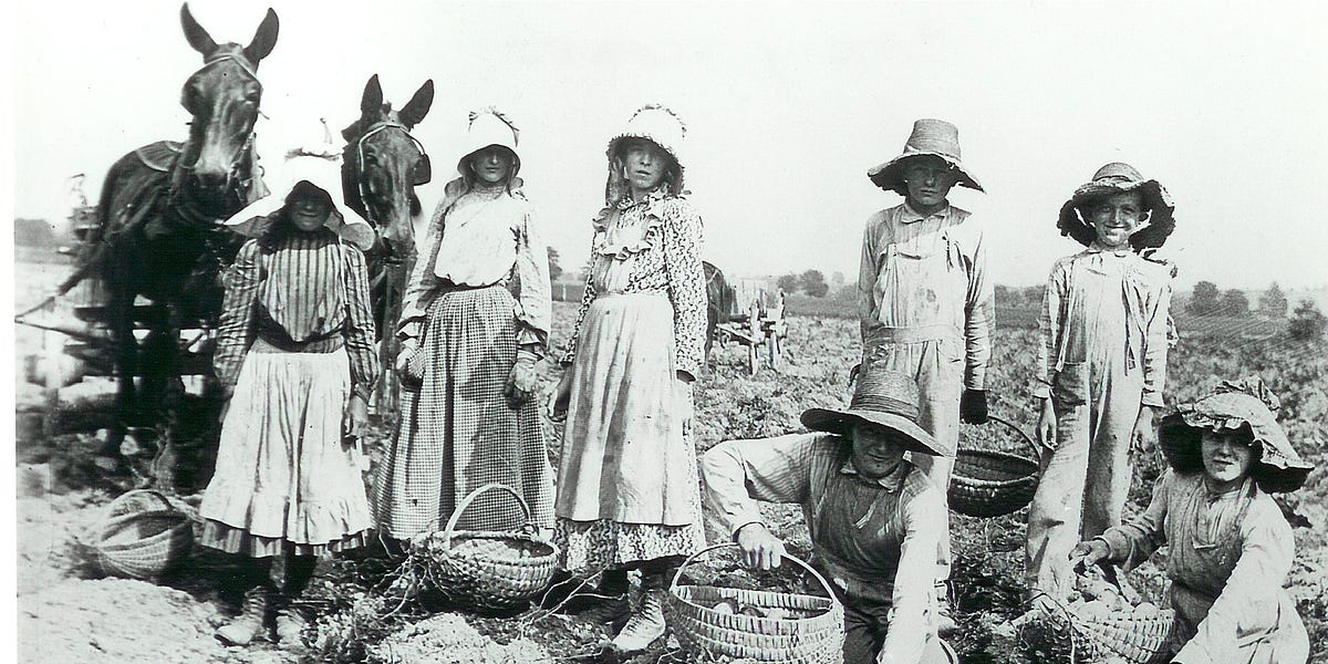 The End of Apprentice Childhood