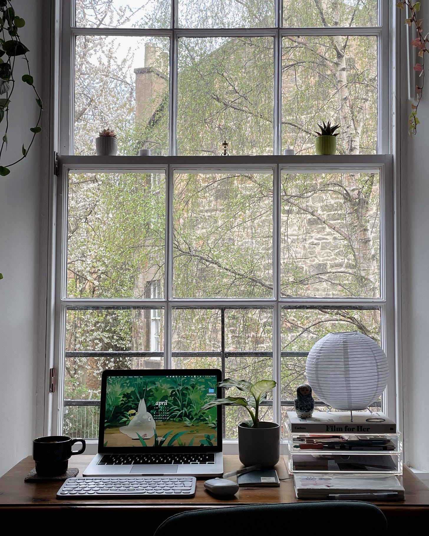 A wider view of my desk setup with a cup of coffee, laptop, and a serene garden view through the window.
