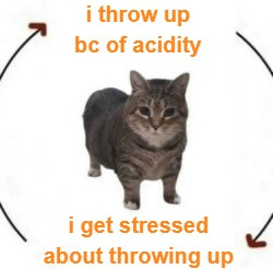 cycle" Meme Templates - Imgflip