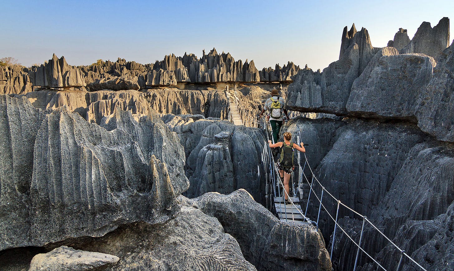 Madagascar | Into Africa