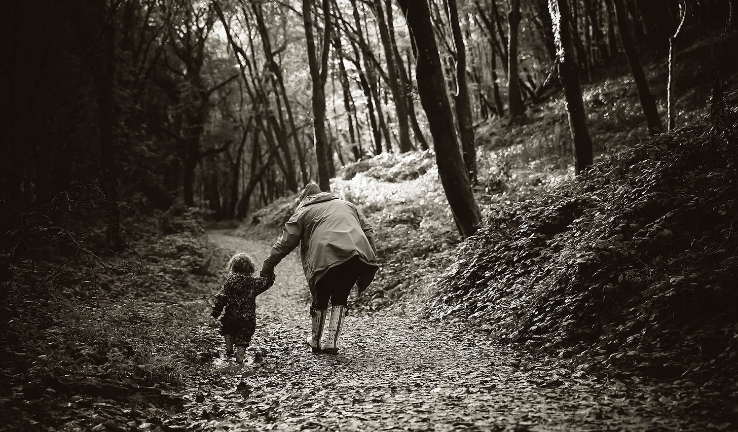 If You Go Down To The Woods Today | Graeme Hughes | Flickr