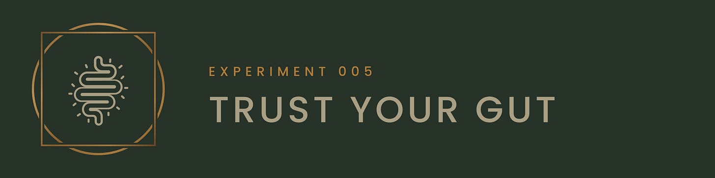 The Modern Alchemist Experiment 005 header band, Trust Your Gut, with a line drawing of a human intestine The Modern Alchemist Experiment 005 header band, Trust Your Gut, with a line drawing of a human intestine