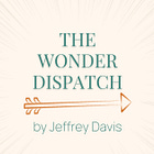 How to Navigate Bewilderment in Work (The Wonder Dispatch 03.30.25)