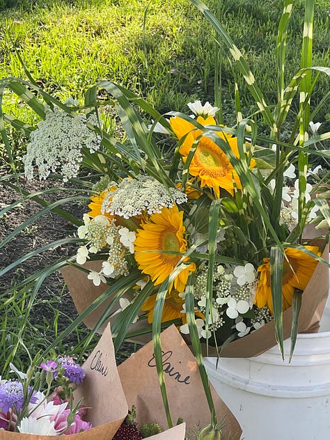 Organic living superfoods