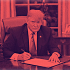 Trump’s Pardons Cover Every Conceivable Form of Corruption