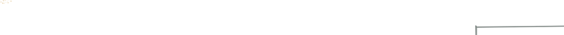 idm bends