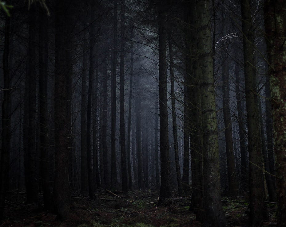 Teoría del bosque oscuro: si haces ruido, delatas tu posición