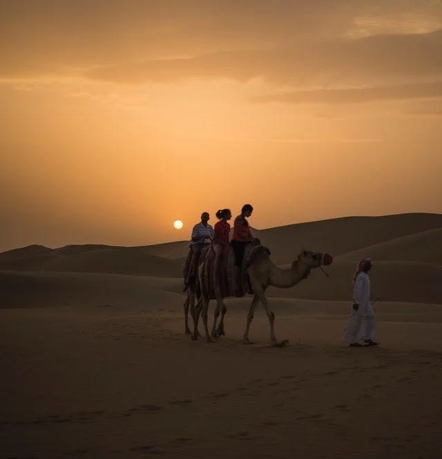 Abu Dhabi Camel ride tour in a desert in Abu Dhabi