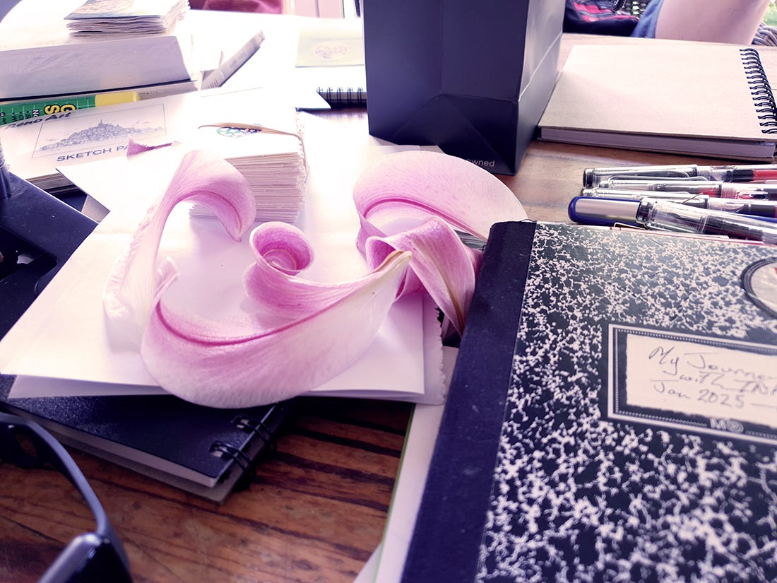 Lily petals, beautiful spirals on desk.