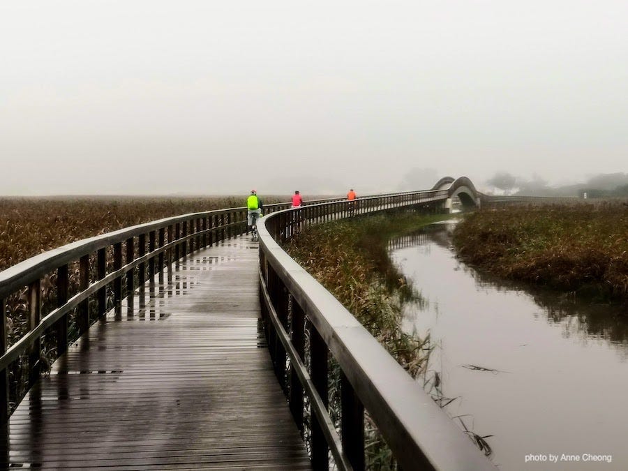 Photo of a curving boardwalk, surrounded by autumn grass, the atmosphere is misty and dreamy. Three cyclists are far away in the background, visible only by their brightly coloured rain jacket: red, orange, blue. Photo of a curving boardwalk, surrounded by autumn grass, the atmosphere is misty and dreamy. Three cyclists are far away in the background, visible only by their brightly coloured rain jacket: red, orange, blue.