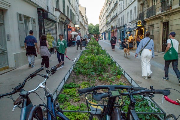 65,96 % des votants pour la végétalisation de nouvelles rues de Paris