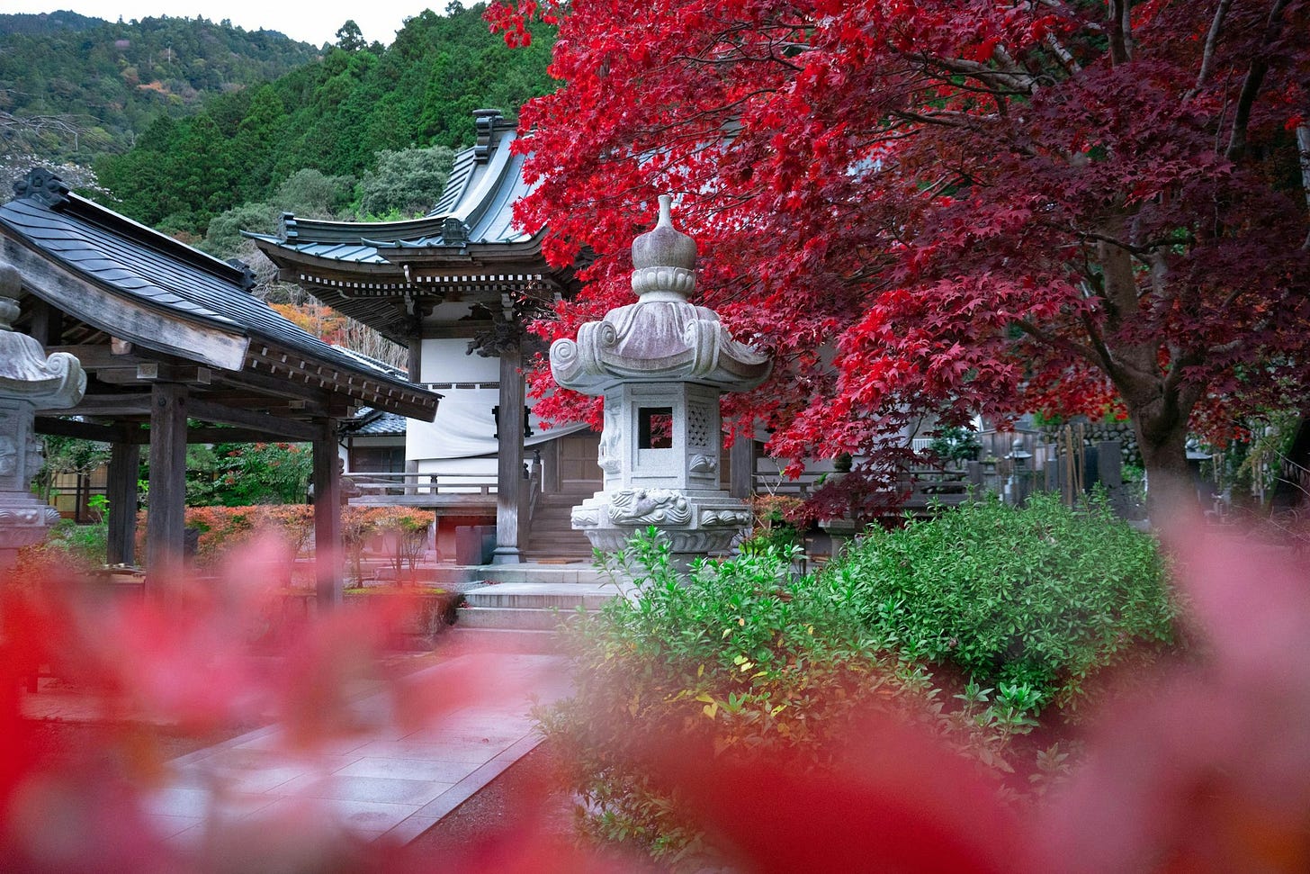 Shojin Ryori: a journey through traditional Japanese Buddhist cuisine