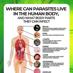 Common Foods That Kill Parasites