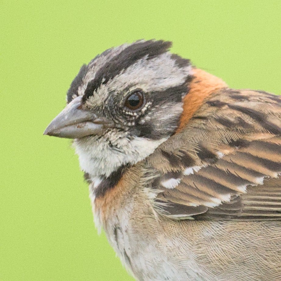 Technology, Environment, and Art