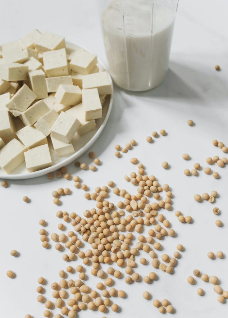 Screenshot at  PM - Tools for Making Homemade Tofu (Zero Waste + Vegan)