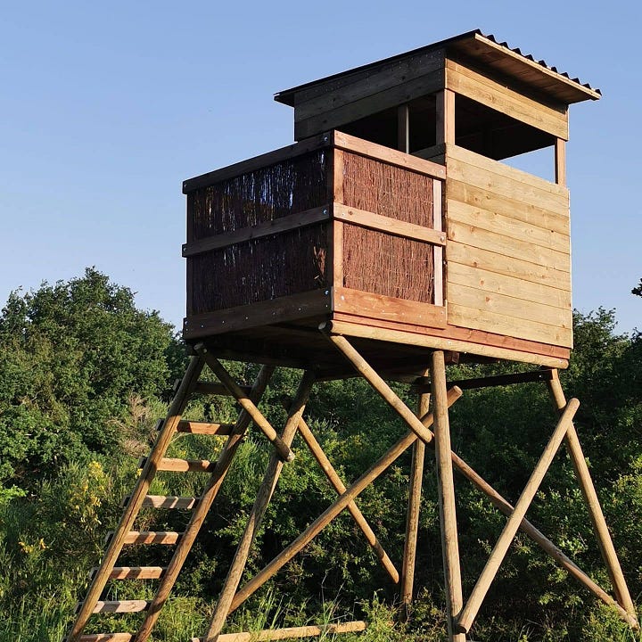 Two wooden hunting towers side by side. On the left, a tall open ladder tower with a small platform, set against a tree. On the right, an enclosed wooden hunting cabin with a sloped roof, raised on stilts with a ladder leading up.