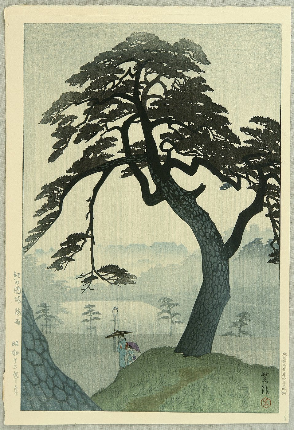 Pine in Rain