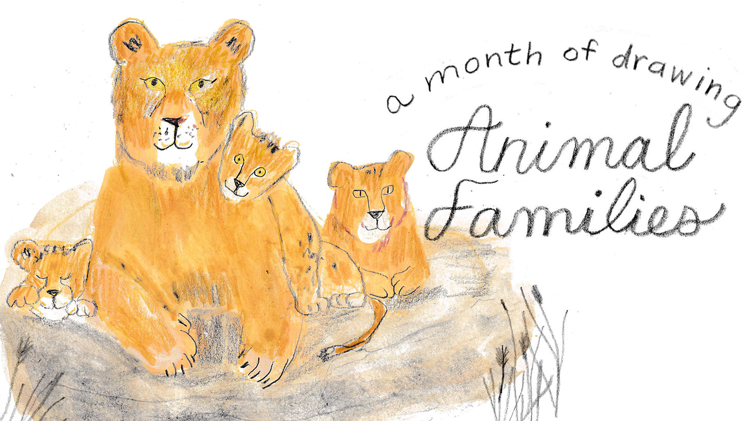 lioness and cubs illustrated by Beth Spencer