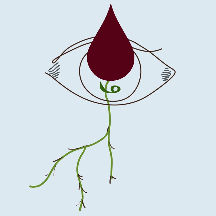 Substack profile picture for @grounds