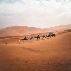 The 18th Camel: Big Tech Censorship