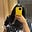 Prethaxoxo's avatar