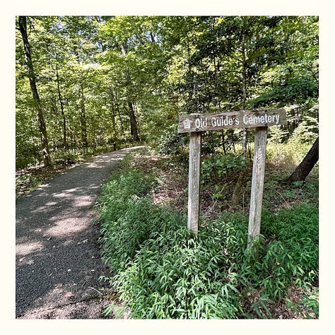 Three images show additional sites to visit while at Mammoth Cave. The first image features a black-top paved trail and a wooden sign indicating the Old Guide's Cemetery is ahead. The second image shows the murky Green River, with the park's ferry centered and ready to accept travelers. The final image is of Sloan's Crossing Pond, which is somewhat swampy; a tree branch frames the image.