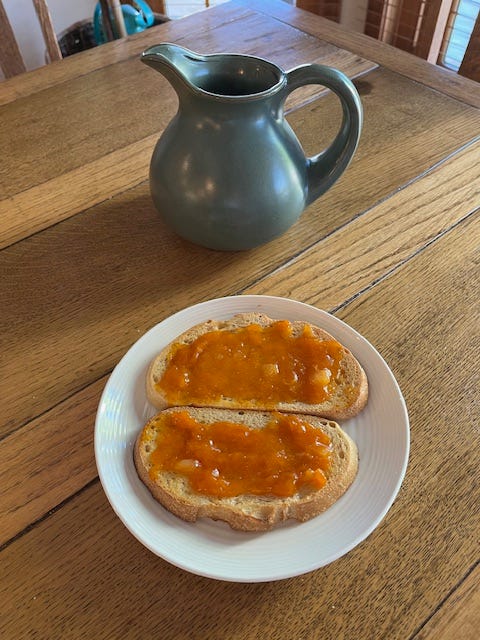 two pieces of toast covered in apricot jam