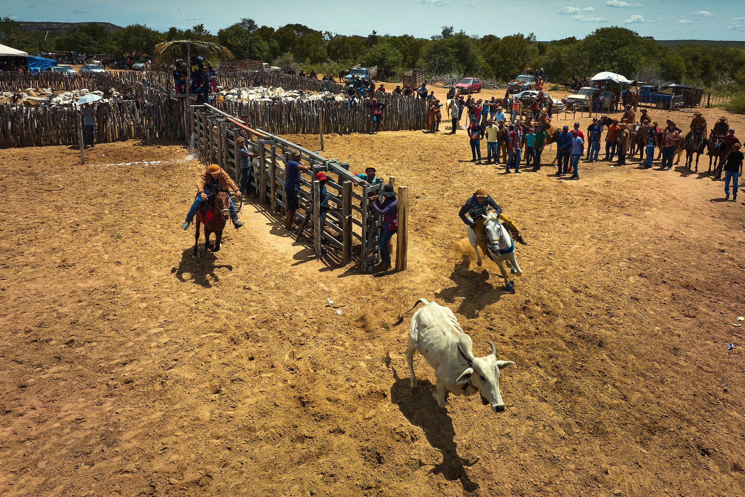 Aerial view of a rodeo event with a bull running in an arena, a rider on horseback, and a group of spectators standing near a wooden fence under a sunny sky.