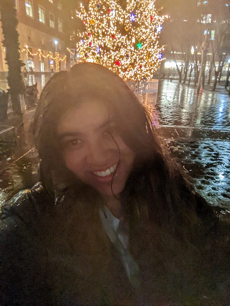 Downtown Brooklyn Christmas tree.