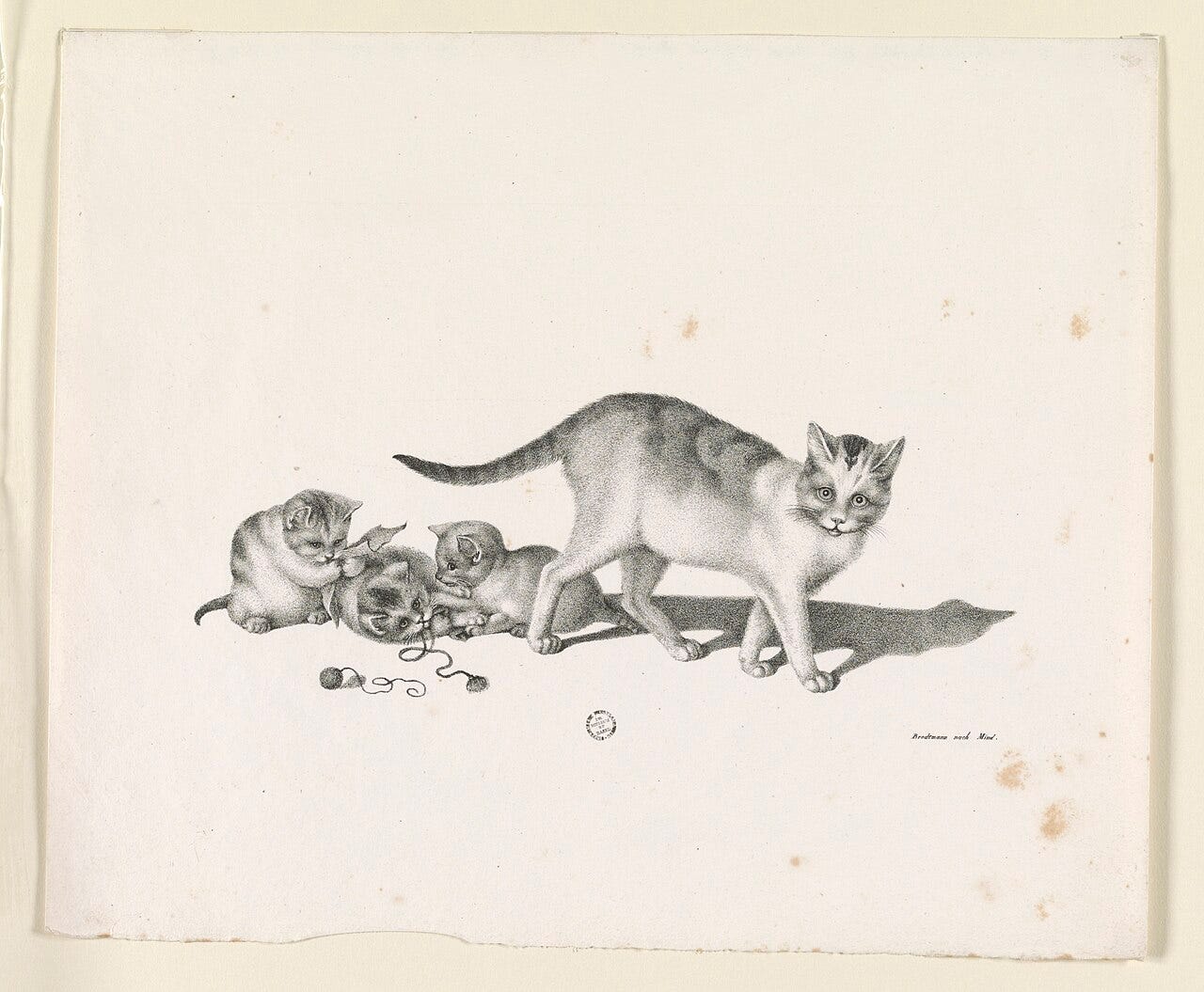 Gottfried Mind, Cat and Kittens, engraving after Mind Gottfried Mind, Cat and Kittens, engraving after Mind