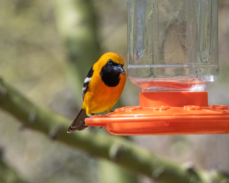 20260427-MBY-31-Edit.jpg 20260427-MBY-31-Edit.jpg