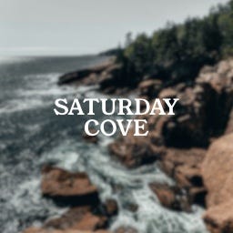 Artwork for Saturday Cove