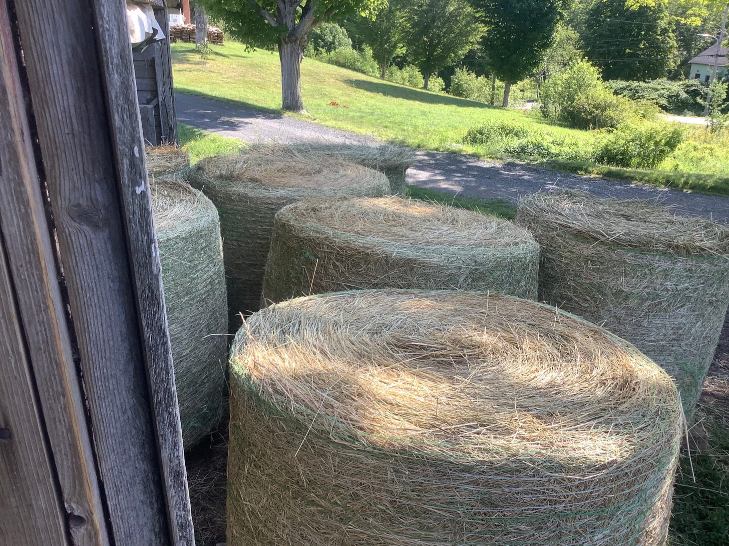 This Week at Briden Farm: July 20–26, 2026