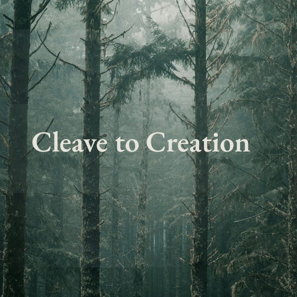Cleave to Creation