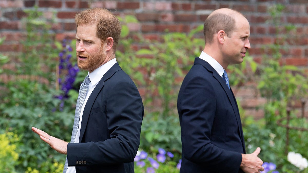 Prince William Planning to Skip Diana Awards, Leaving Door Open for Harry to Claim Diana’s Mantle