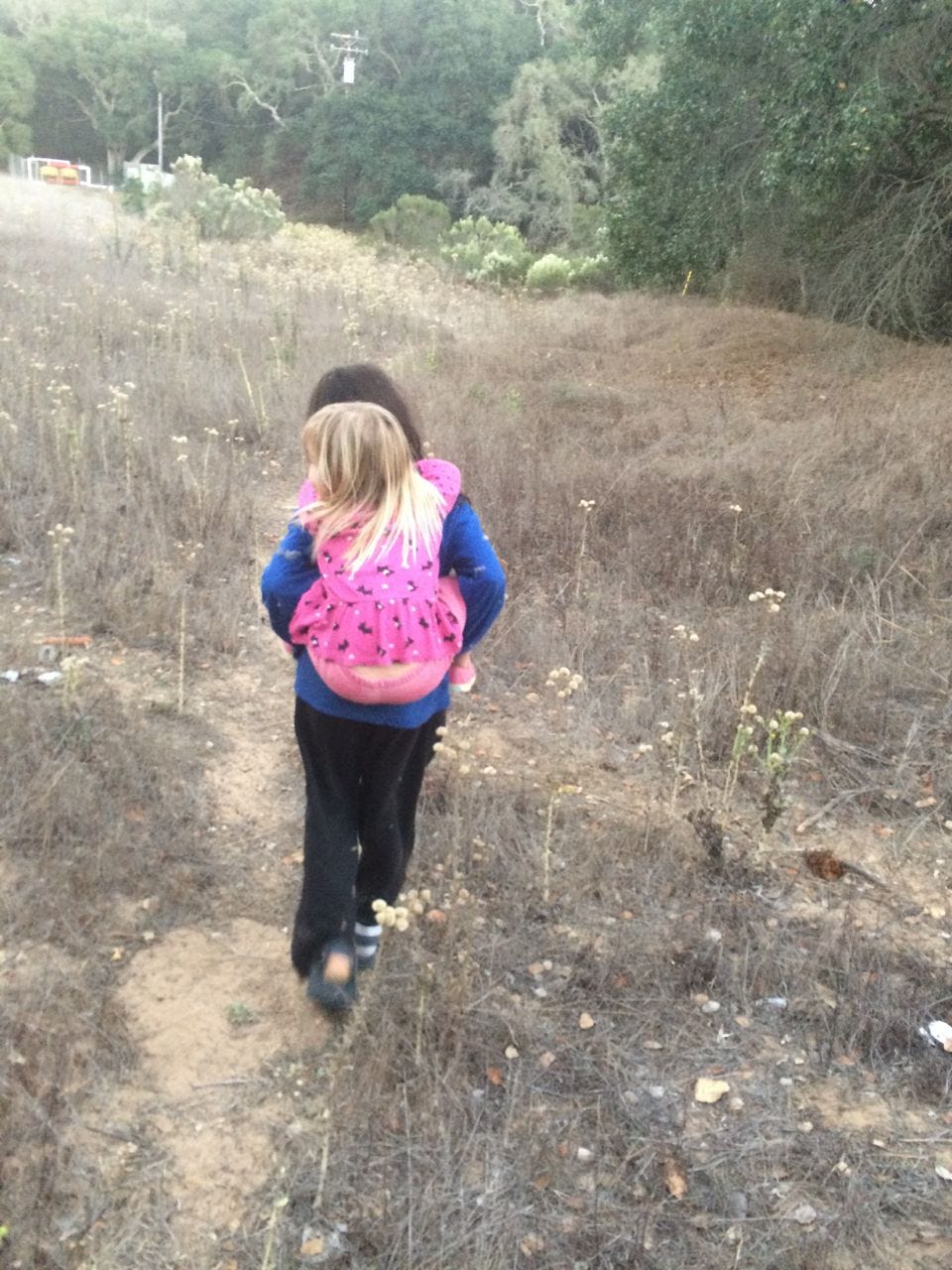 carrying