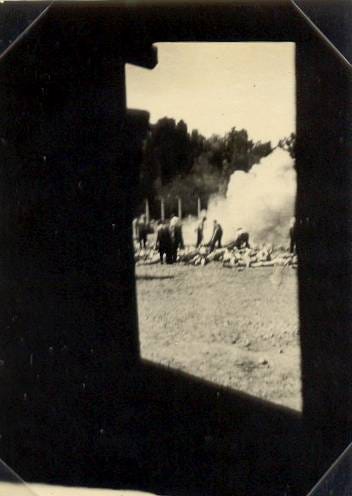 auschwitz_resistance_281