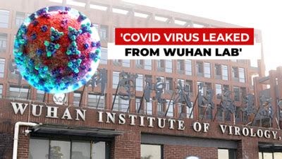Covid-19 pandemic most likely came from lab leak in China: US agency - Times of India Covid-19 pandemic most likely came from lab leak in China: US agency - Times of India